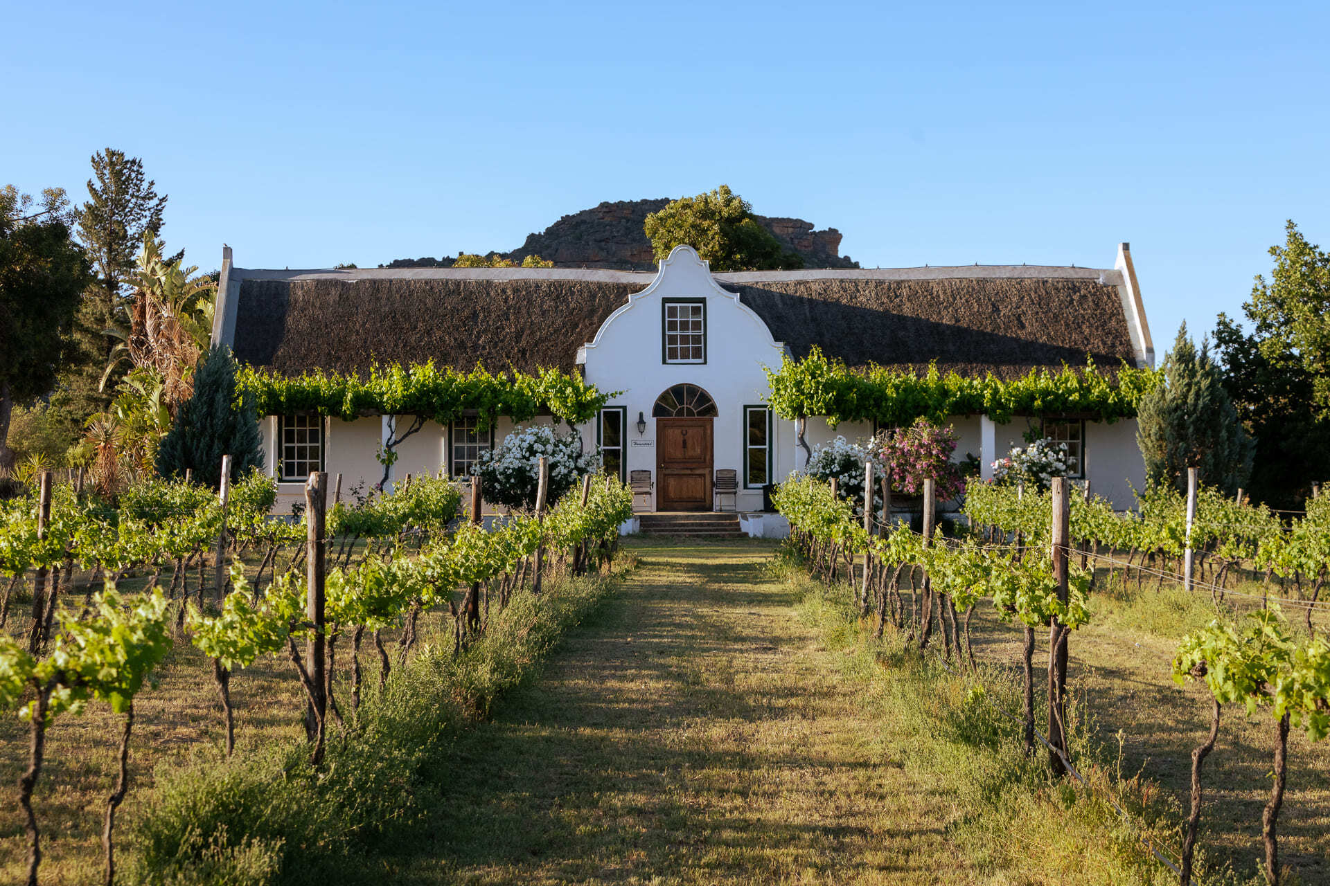 Homestead Cape Dutch farmhouse